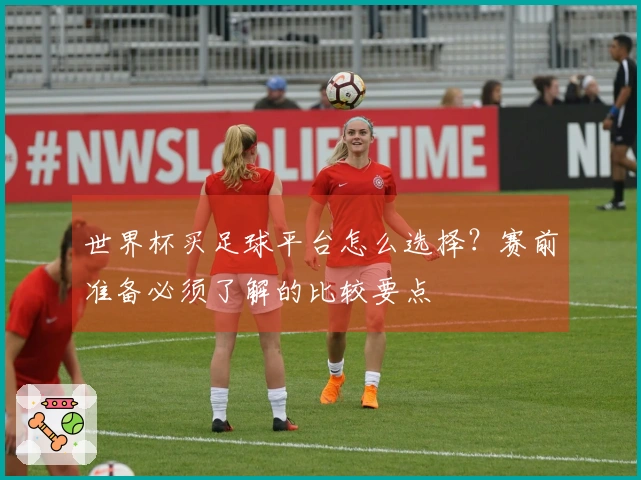世界杯买足球平台怎么选择？赛前准备必须了解的比较要点