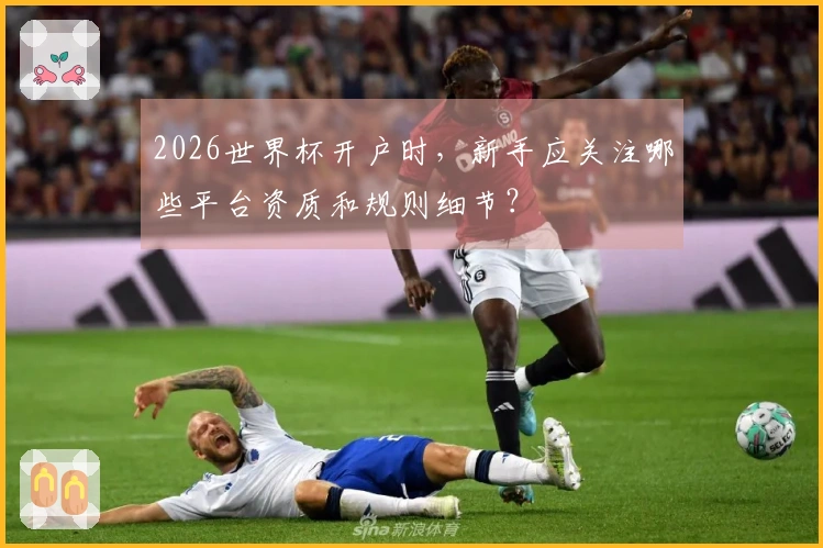 2026世界杯开户时，新手应关注哪些平台资质和规则细节？