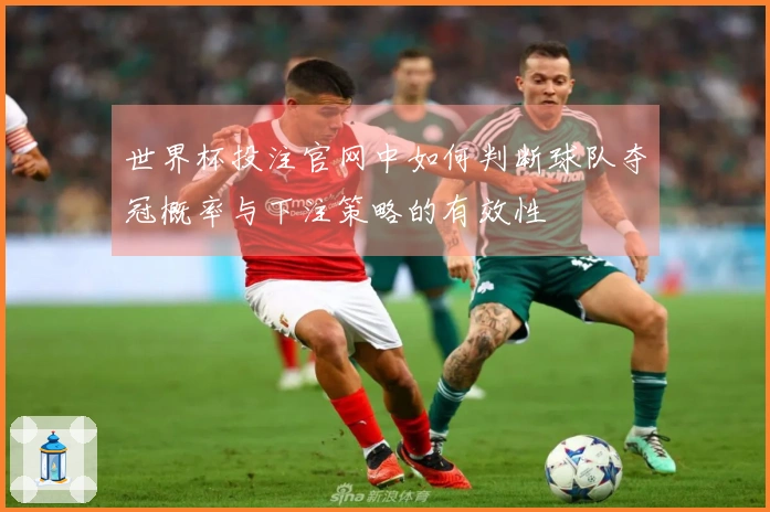 世界杯投注官网中如何判断球队夺冠概率与下注策略的有效性