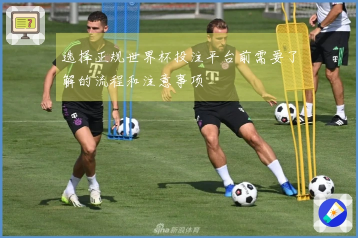 选择正规世界杯投注平台前需要了解的流程和注意事项