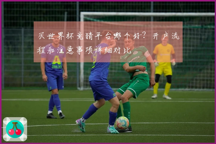 买世界杯竞猜平台哪个好？开户流程和注意事项详细对比
