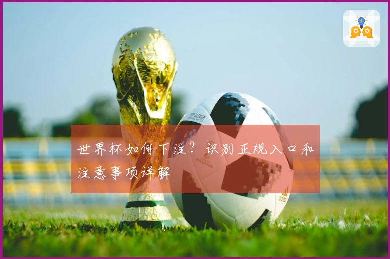 世界杯如何下注？识别正规入口和注意事项详解