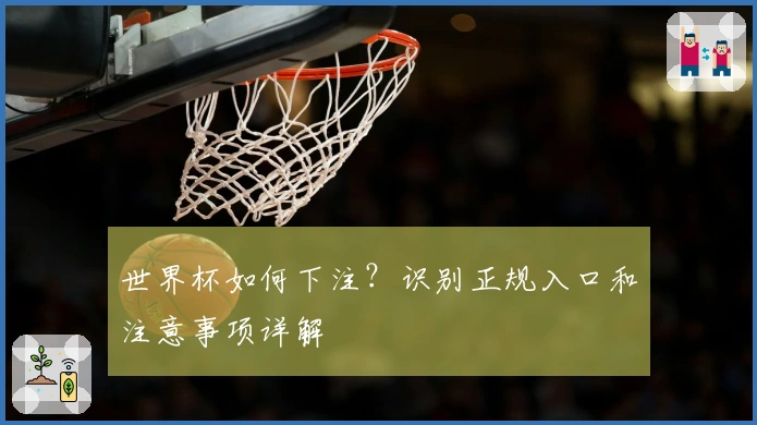 世界杯如何下注？识别正规入口和注意事项详解