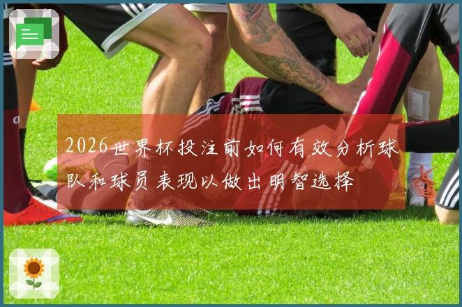 2026世界杯投注前如何有效分析球队和球员表现以做出明智选择