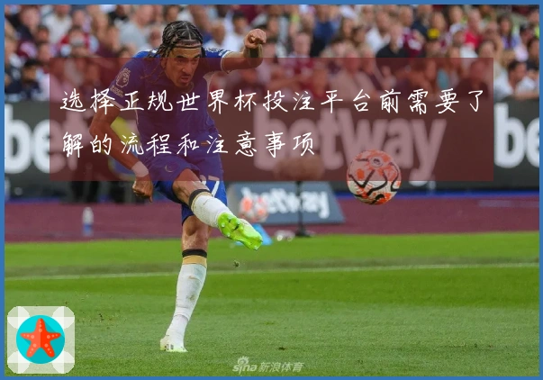 选择正规世界杯投注平台前需要了解的流程和注意事项
