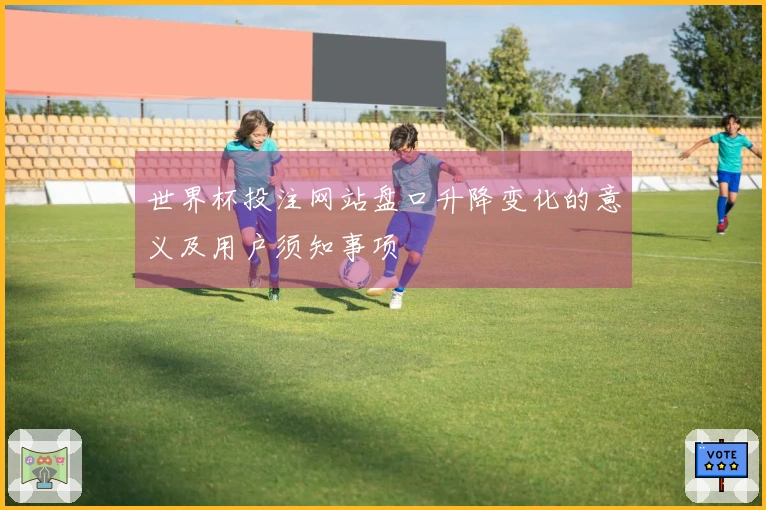 世界杯投注网站盘口升降变化的意义及用户须知事项