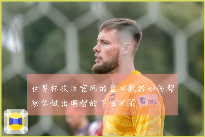 世界杯投注官网的盘口数据如何帮助你做出明智的下注决策