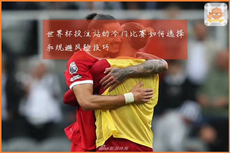 世界杯投注站的冷门比赛如何选择和规避风险技巧