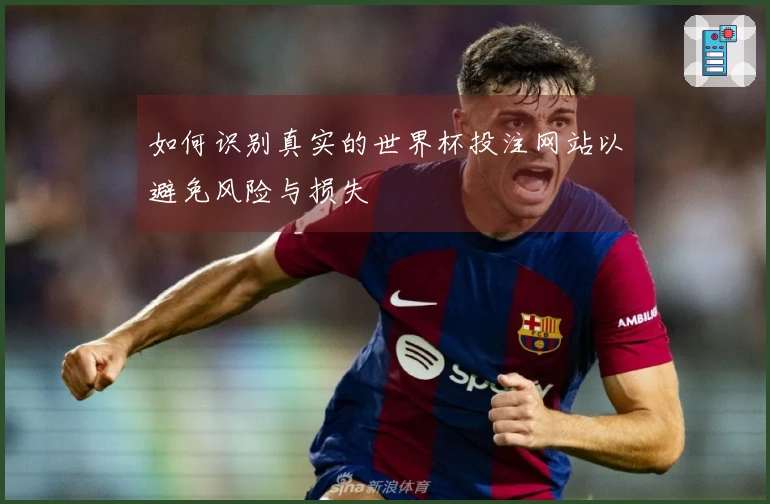 如何识别真实的世界杯投注网站以避免风险与损失