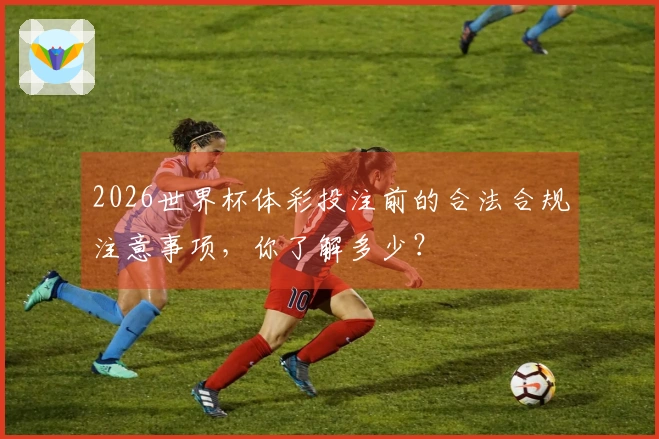 2026世界杯体彩投注前的合法合规注意事项,你了解多少?
