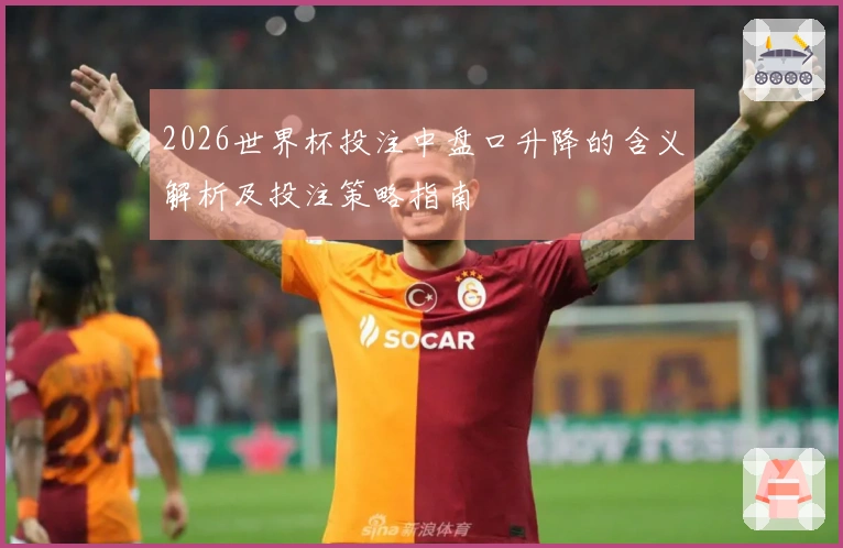 2026世界杯投注中盘口升降的含义解析及投注策略指南