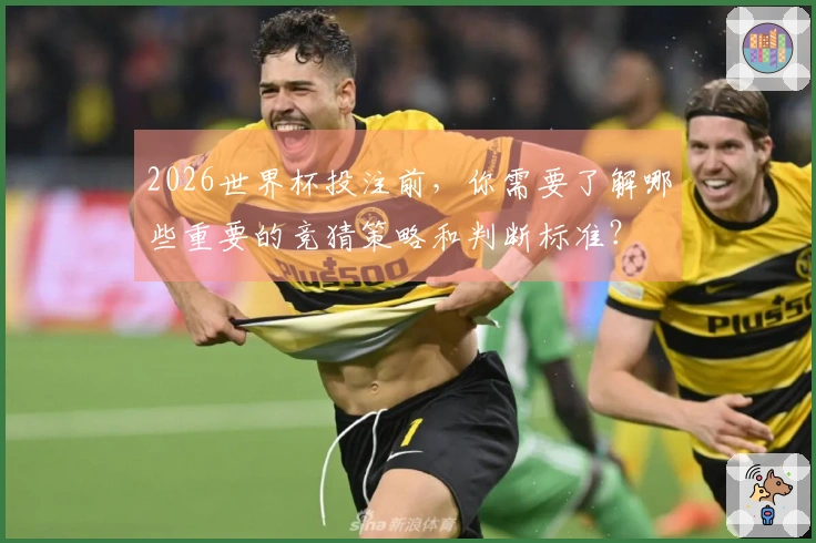 2026世界杯投注前，你需要了解哪些重要的竞猜策略和判断标准？