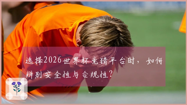 选择2026世界杯竞猜平台时，如何辨别安全性与合规性？
