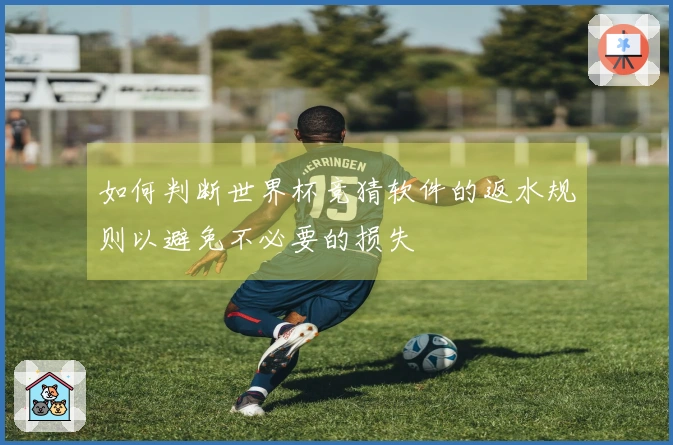 如何判断世界杯竞猜软件的返水规则以避免不必要的损失