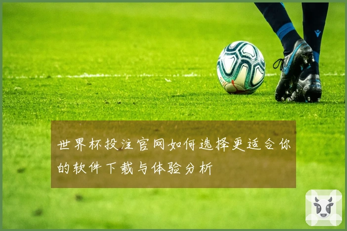 世界杯投注官网如何选择更适合你的软件下载与体验分析