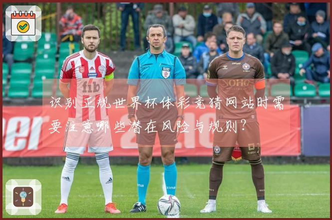 识别正规世界杯体彩竞猜网站时需要注意哪些潜在风险与规则？