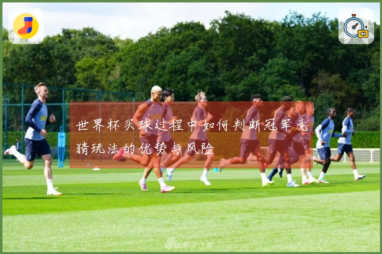 世界杯买球过程中如何判断冠军竞猜玩法的优势与风险