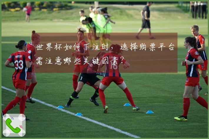 世界杯如何下注时，选择购票平台需注意哪些关键因素？