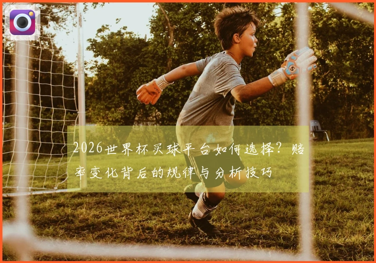 2026世界杯买球平台如何选择？赔率变化背后的规律与分析技巧