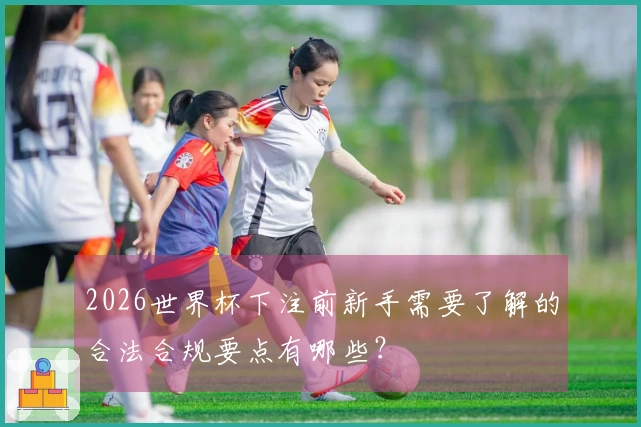2026世界杯下注前新手需要了解的合法合规要点有哪些？