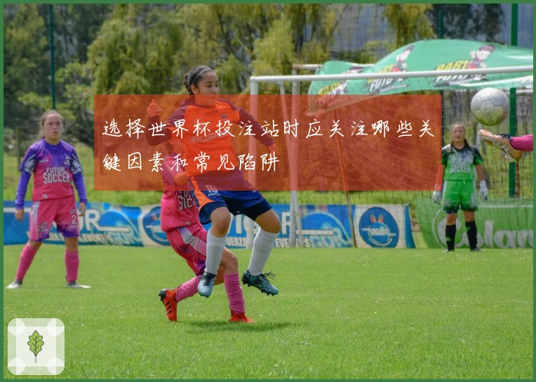 选择世界杯投注站时应关注哪些关键因素和常见陷阱