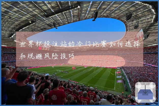 世界杯投注站的冷门比赛如何选择和规避风险技巧